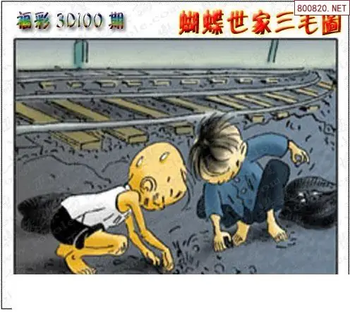 26100期: 3D蝴蝶世家蝴蝶彩图