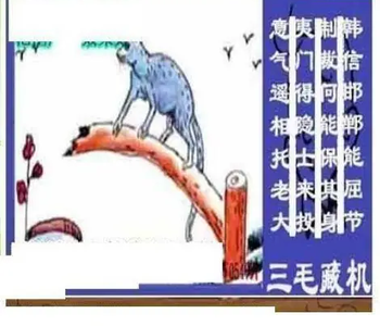 26054期: 三毛3D精品图谜