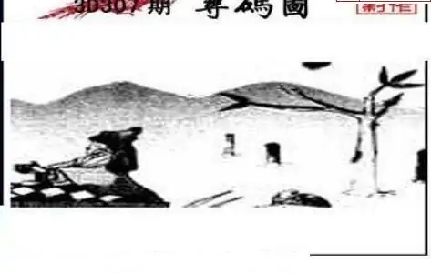 25307期: 三毛3D精品图谜