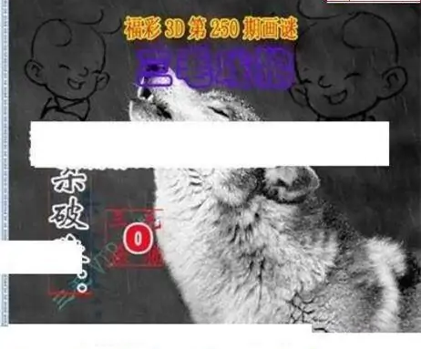 25250期: 三毛3D精品图谜