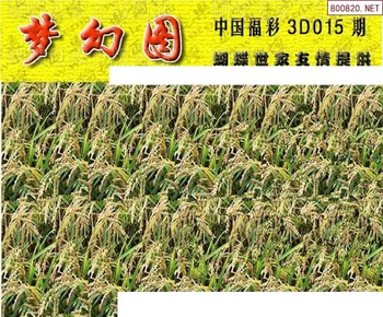 26015期: 3D蝴蝶世家蝴蝶彩图