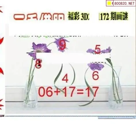 25172期: 三毛3D精品图谜