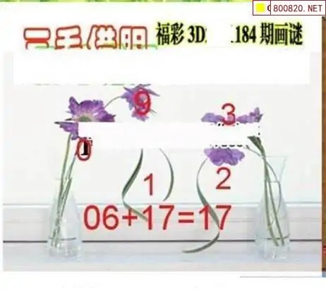 25184期: 三毛3D精品图谜