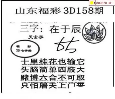 25158期: 三毛3D精品图谜