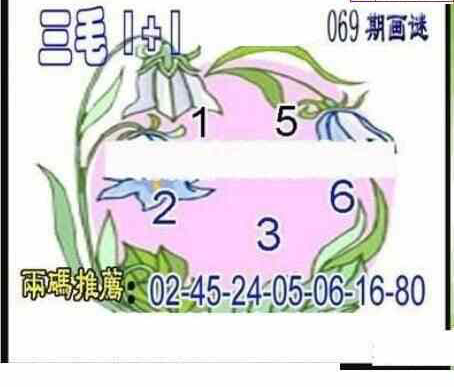 24069期: 三毛3D精品图谜