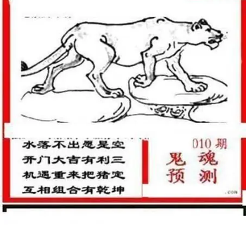 26010期: 三毛3D精品图谜