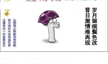 25340期: 白老3D杀码图版