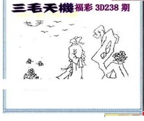 25238期: 三毛3D精品图谜