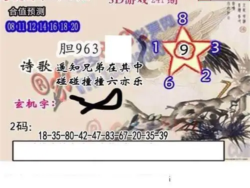 25241期: 白老3D杀码图版