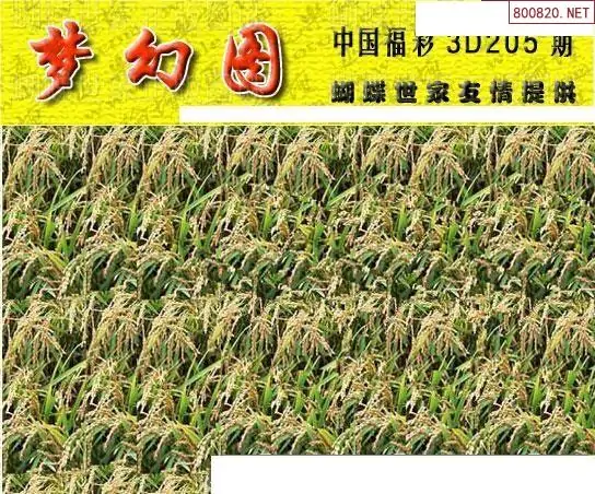 25205��: 3D�������Һ�����ͼ