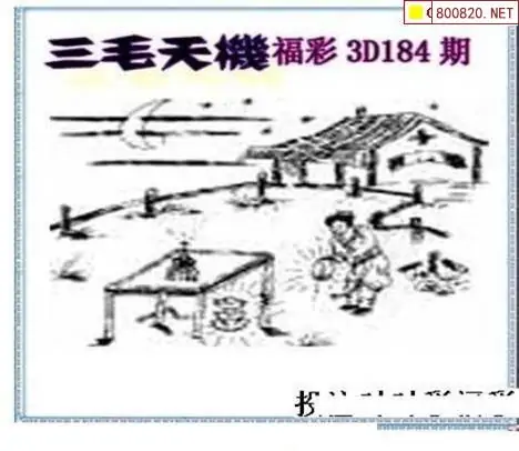 25184期: 三毛3D精品图谜