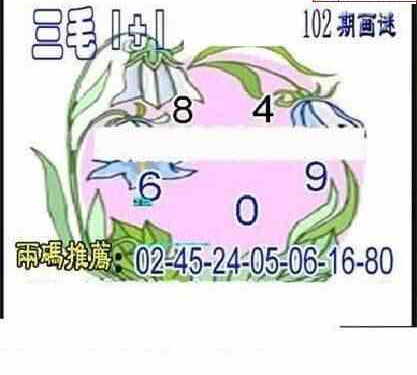 24102期: 三毛3D精品图谜