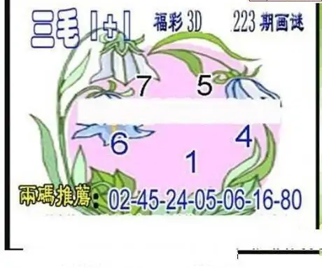 25223期: 三毛3D精品图谜