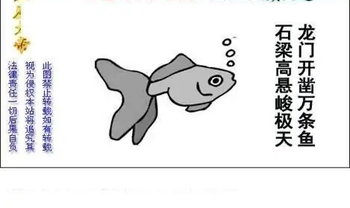 25314期: 白老3D杀码图版