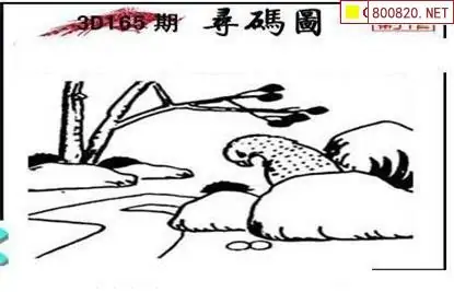 25165期: 三毛3D精品图谜
