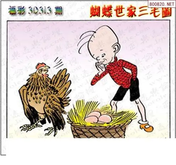 25313期: 3D蝴蝶世家蝴蝶彩图