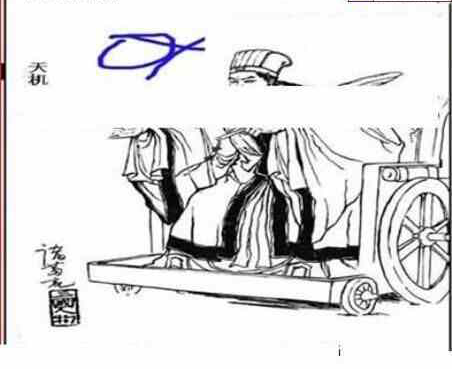 24203期: 三毛3D精品图谜