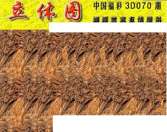 25070期: 3D蝴蝶世家蝴蝶彩图