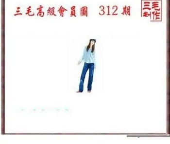 25312期: 三毛3D精品图谜