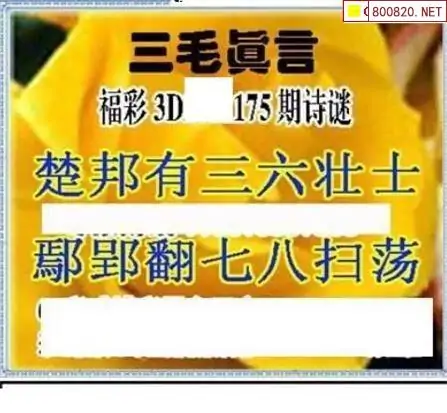 25175期: 三毛3D精品图谜