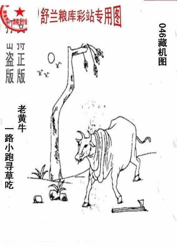 25046期: 老村长福彩3D天天图谜