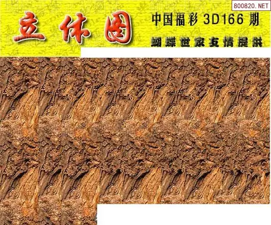 25166期: 3D蝴蝶世家蝴蝶彩图