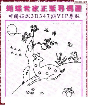 25347期: 3D蝴蝶世家蝴蝶彩图