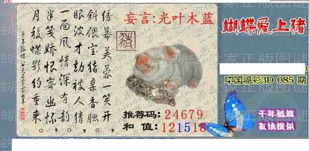 24085期: 3D蝴蝶世家蝴蝶彩图