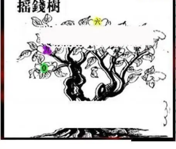 26084期: 三毛3D精品图谜