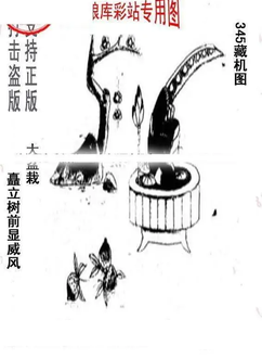25345期: 老村长福彩3D天天图谜