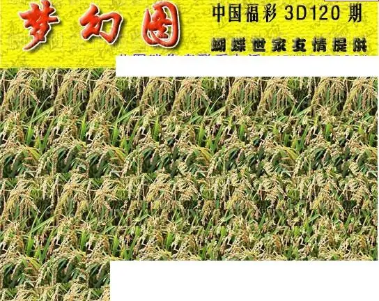 25120期: 3D蝴蝶世家蝴蝶彩图