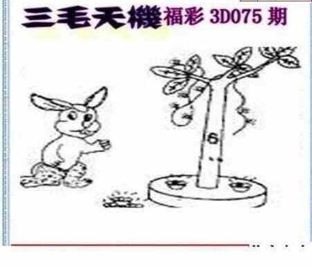 24075期: 三毛3D精品图谜