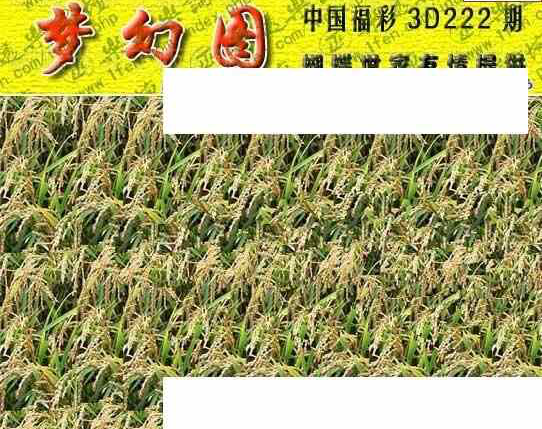 24222期: 3D蝴蝶世家蝴蝶彩图