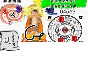 26053期: 白老3D杀码图版