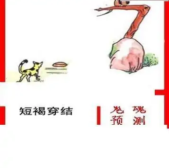 25337期: 白老3D杀码图版