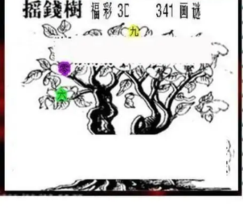 25341期: 三毛3D精品图谜