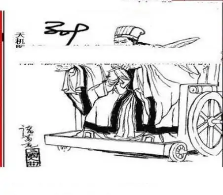 25077期: 三毛3D精品图谜