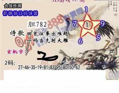 25047期: 白老3D杀码图版