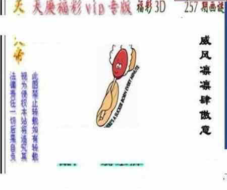 24257期: 三毛3D精品图谜