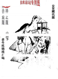 26008期: 老村长福彩3D天天图谜