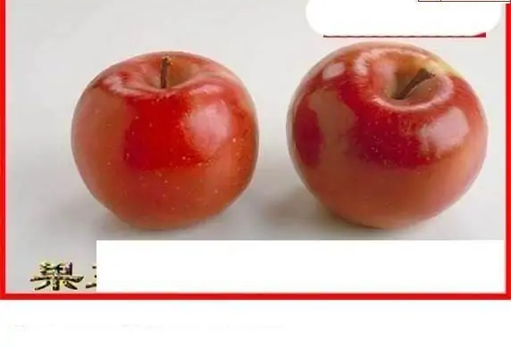 25069期: 白老3D杀码图版