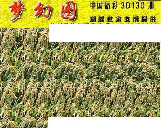 25130期: 3D蝴蝶世家蝴蝶彩图