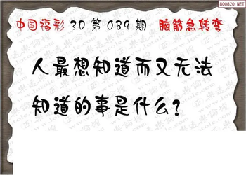 26089期: 3D蝴蝶世家蝴蝶彩图