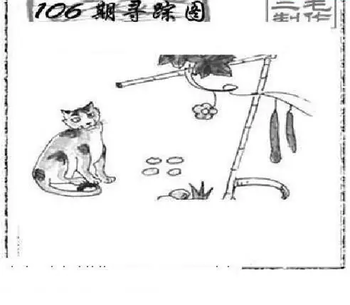 26106期: 三毛3D精品图谜