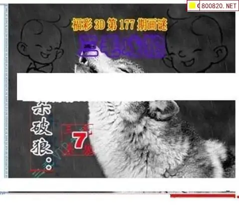 25177期: 三毛3D精品图谜