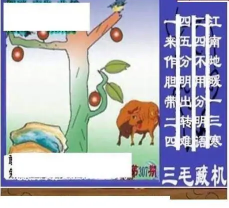 25307期: 三毛3D精品图谜