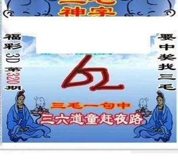 25320期: 三毛3D精品图谜