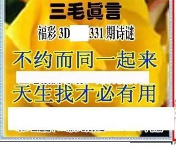 25331期: 三毛3D精品图谜