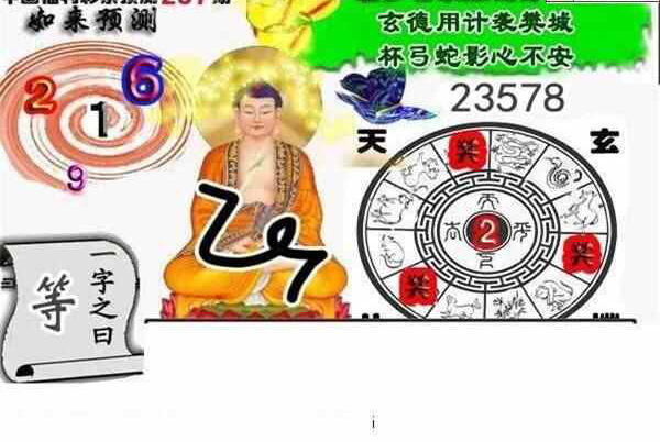 24237期: 白老3D杀码图版