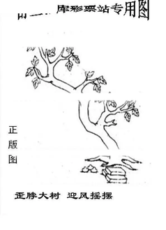 26013期: 老村长福彩3D天天图谜